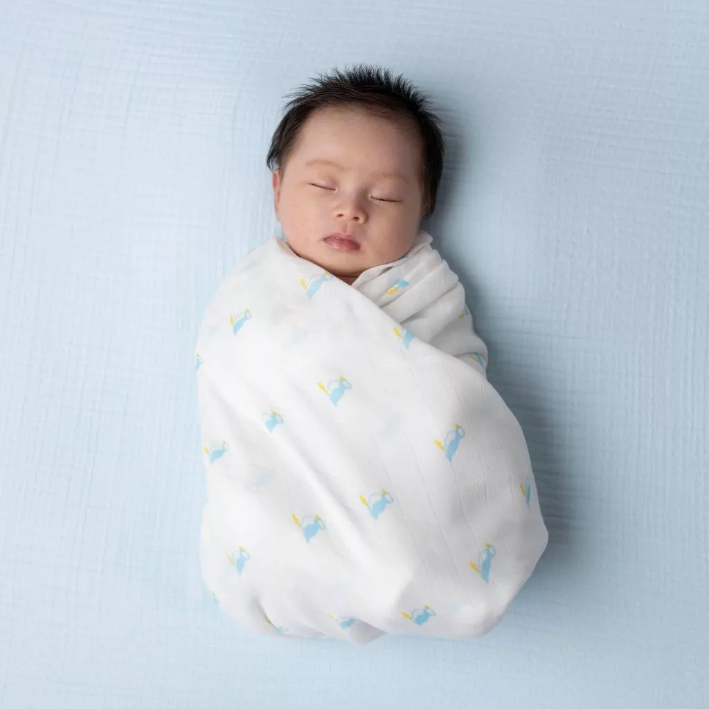 Swaddled baby 