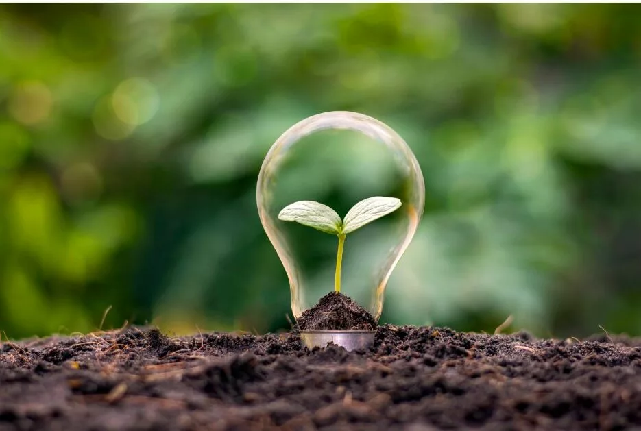 Sustainability