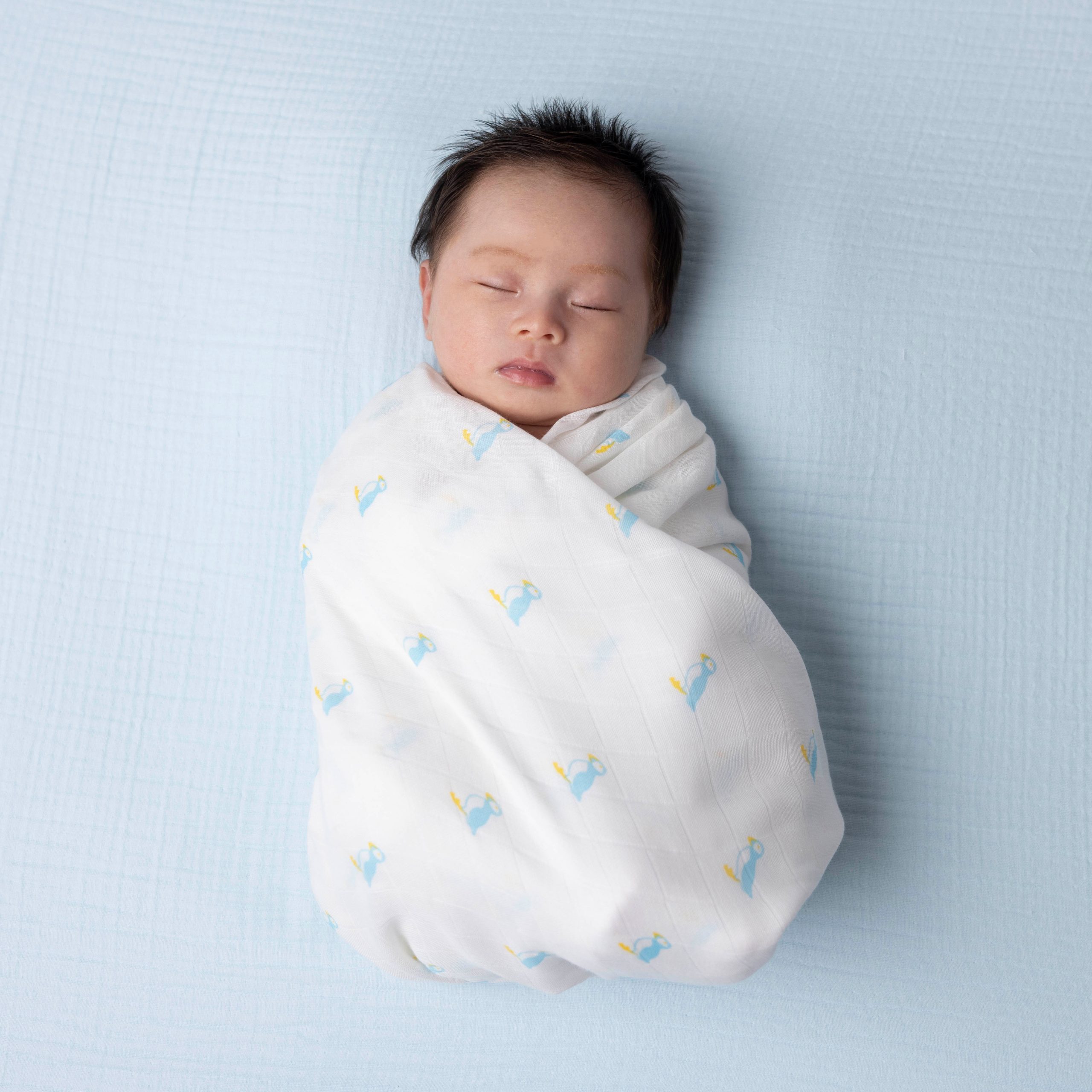 How to swaddle my baby in puffin print muslin