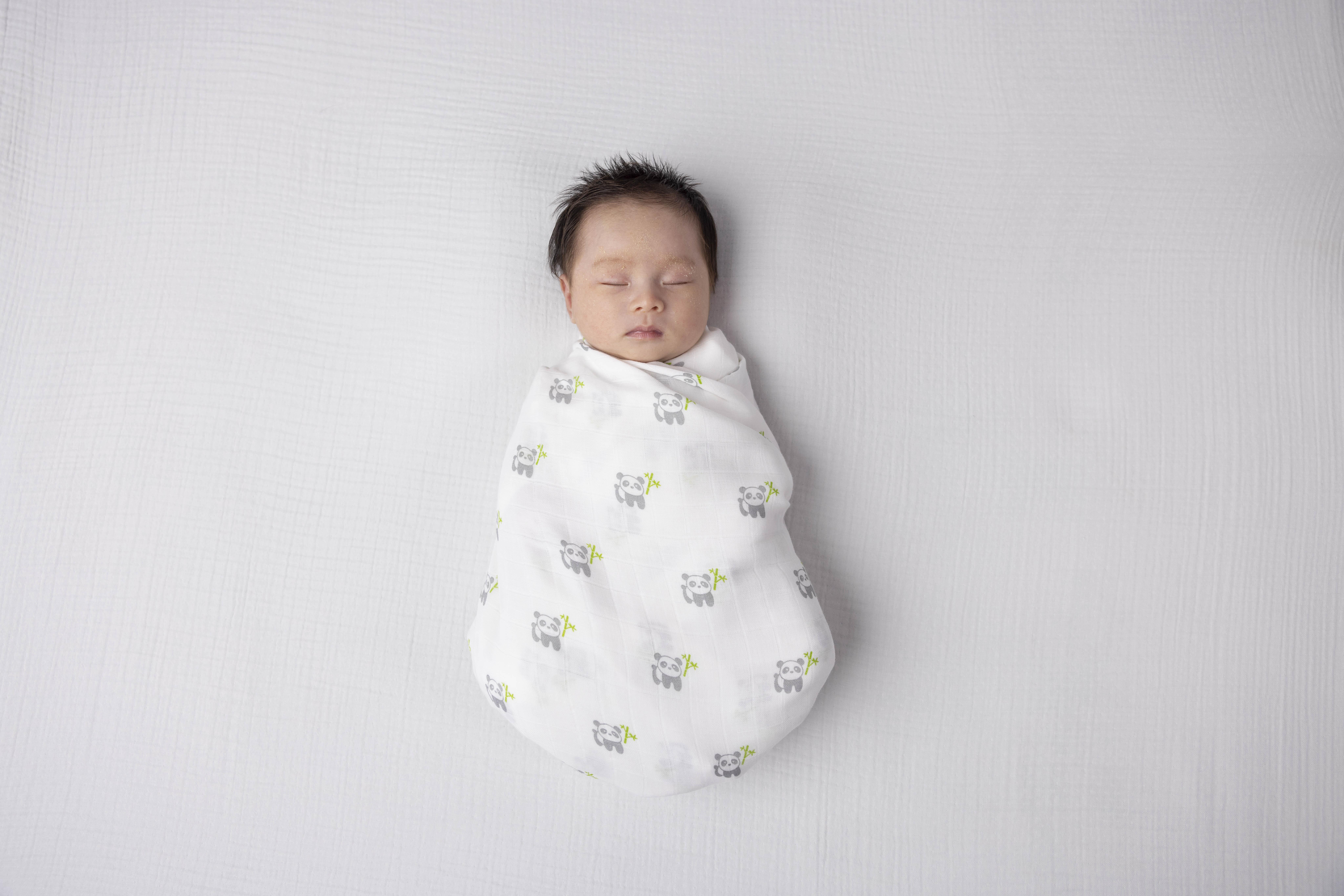 new born Baby in swaddle 